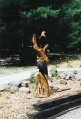 Two Perched Eagles